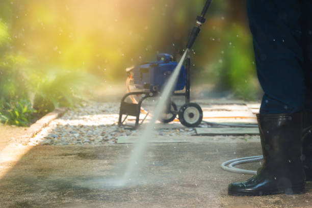 Best Gutter Cleaning  in Roseville, MI